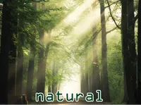 Định nghĩa của từ <b>natural</b>