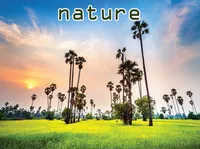 Định nghĩa của từ <b>nature</b>