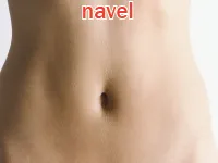 Định nghĩa của từ <b>navel</b>