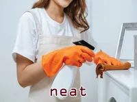 Định nghĩa của từ <b>neat</b>