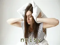 Định nghĩa của từ <b>noisy</b>