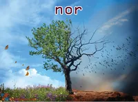 Định nghĩa của từ <b>nor</b>
