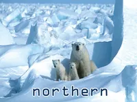 Định nghĩa của từ <b>northern</b>