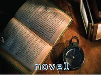 Định nghĩa của từ <b>novel</b>
