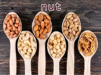 Định nghĩa của từ <b>nut</b>