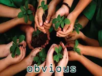 Định nghĩa của từ <b>obvious</b>