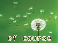 Định nghĩa của từ <b>of course</b>