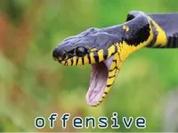 Định nghĩa của từ <b>offensive</b>