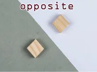 Định nghĩa của từ <b>opposite</b>