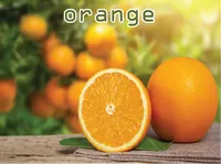 Định nghĩa của từ <b>orange</b>