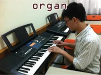 Định nghĩa của từ <b>organ</b>