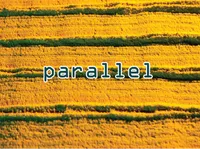 Định nghĩa của từ <b>parallel</b>