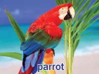 Định nghĩa của từ <b>parrot</b>