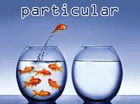 Định nghĩa của từ <b>particular</b>