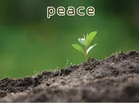 Định nghĩa của từ <b>peace</b>