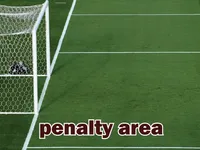 Định nghĩa của từ <b>penalty area</b>