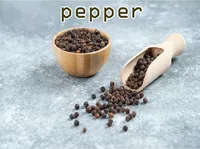 Định nghĩa của từ <b>pepper</b>