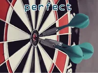 Định nghĩa của từ <b>perfect</b>