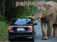 Định nghĩa của từ <b>perhaps</b>