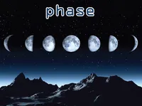 Định nghĩa của từ <b>phase</b>