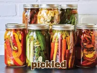 Định nghĩa của từ <b>pickled</b>