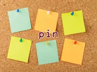 Định nghĩa của từ <b>pin</b>