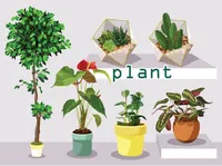 Định nghĩa của từ <b>plant</b>