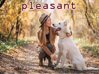 Định nghĩa của từ <b>pleasant</b>