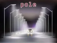 Định nghĩa của từ <b>pole</b>