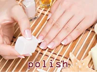 Định nghĩa của từ <b>polish</b>