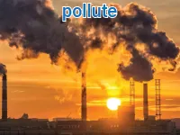 Định nghĩa của từ <b>pollute</b>