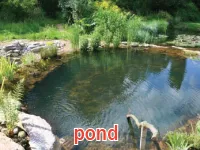 Định nghĩa của từ <b>pond</b>