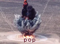 Định nghĩa của từ <b>pop</b>
