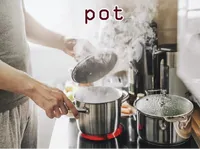 Định nghĩa của từ <b>pot</b>