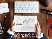 Định nghĩa của từ <b>potential</b>