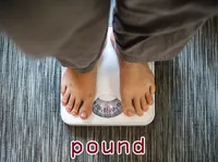Định nghĩa của từ <b>pound</b>