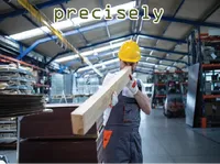 Định nghĩa của từ <b>precisely</b>