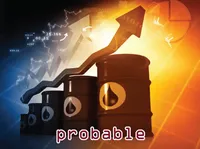 Định nghĩa của từ <b>probable</b>