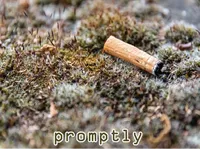 Định nghĩa của từ <b>promptly</b>