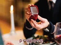 Định nghĩa của từ <b>propose</b>