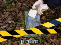 Định nghĩa của từ <b>prove</b>