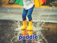 Định nghĩa của từ <b>puddle</b>