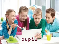 Định nghĩa của từ <b>pupil</b>