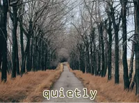 Định nghĩa của từ <b>quietly</b>