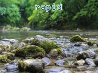 Định nghĩa của từ <b>rapid</b>