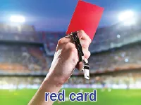 Định nghĩa của từ <b>red card</b>