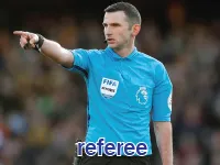 Định nghĩa của từ <b>referee</b>