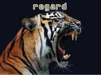 Định nghĩa của từ <b>regard</b>