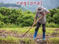 Định nghĩa của từ <b>regional</b>