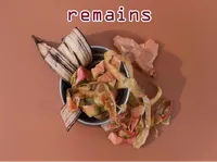 Định nghĩa của từ <b>remains</b>
